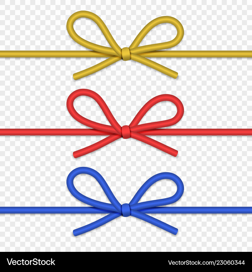 Elegant String Bow with Rope vector image