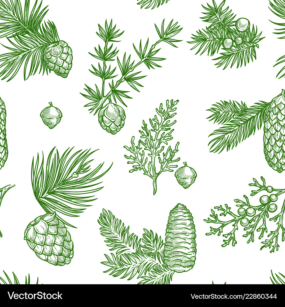 Pine branches of trees and cones seamless pattern Pine branches of trees and cones seamless pattern vector image