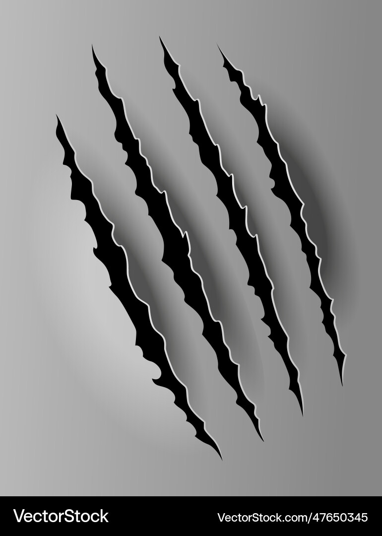 Bear or tiger claw mark scratches and torn traces Bear or tiger claw mark scratches and torn traces vector image