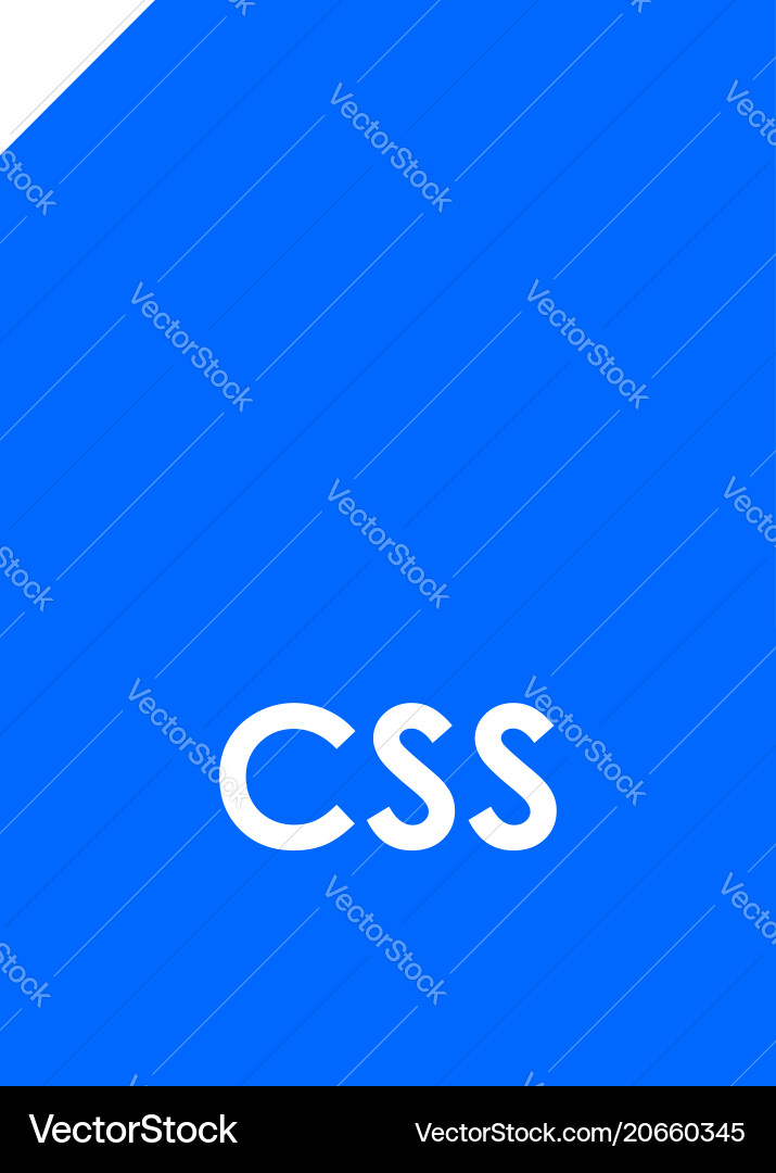 Css file format icon Css file format icon vector image