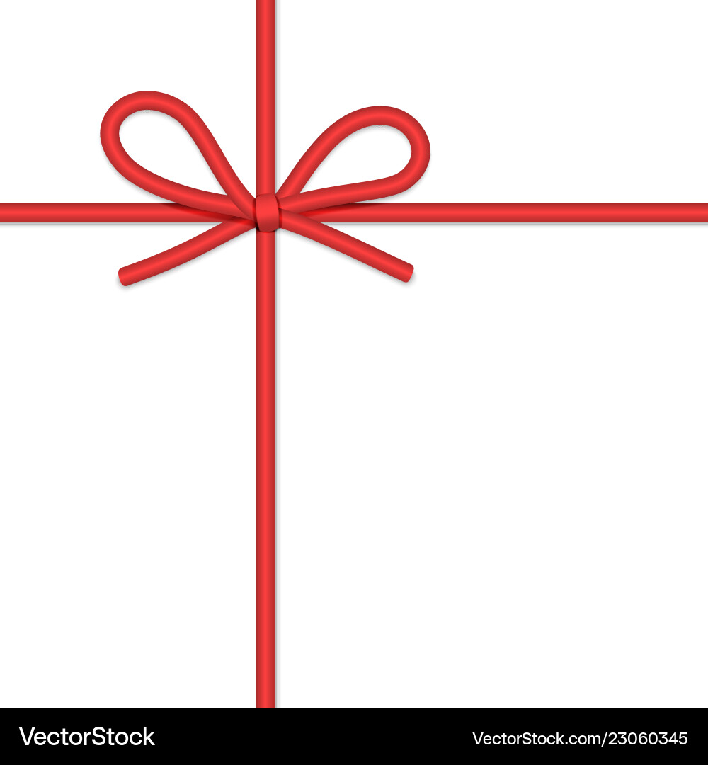 Elegant String Bow with Rope vector image