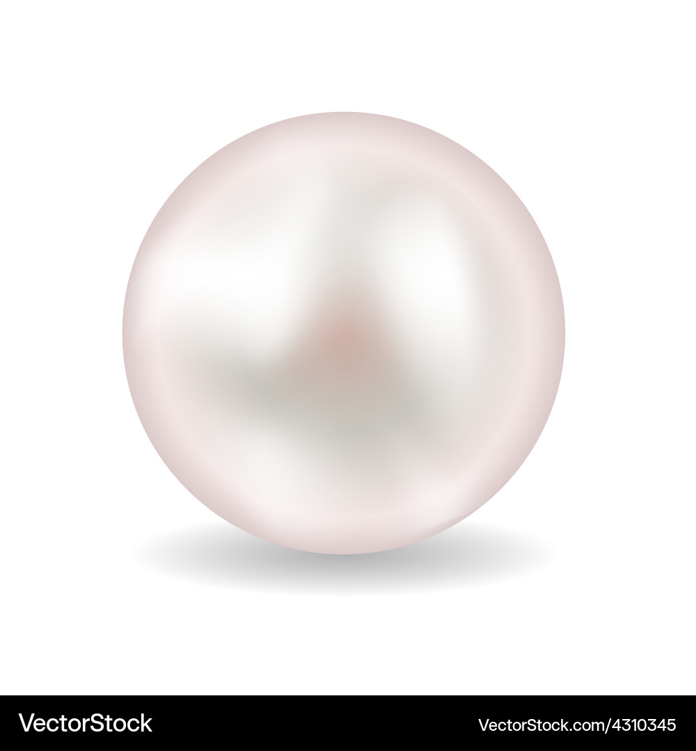 Pearl Royalty Free Vector Image - VectorStock