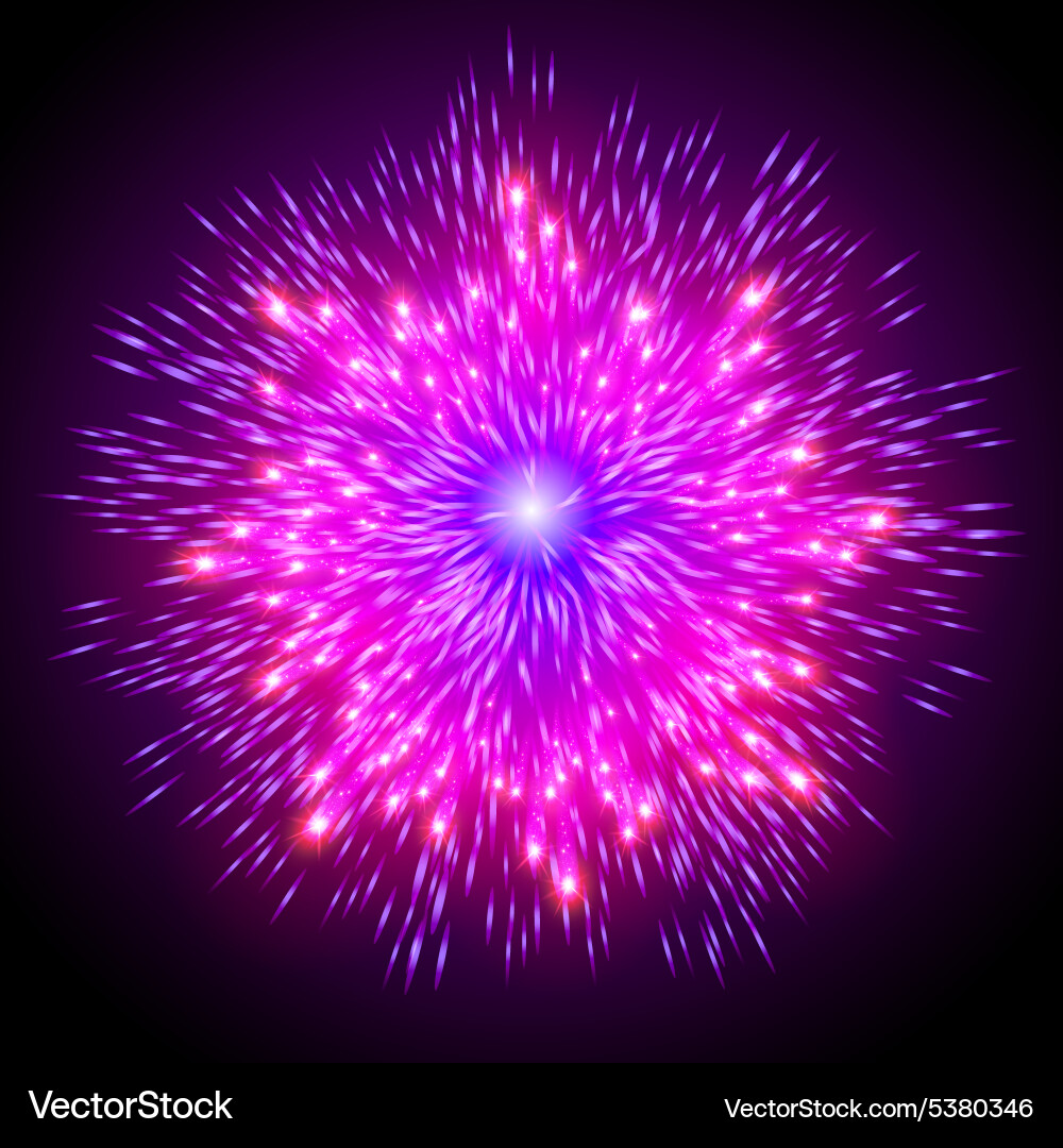Festive patterned firework bursting in various Vector Image