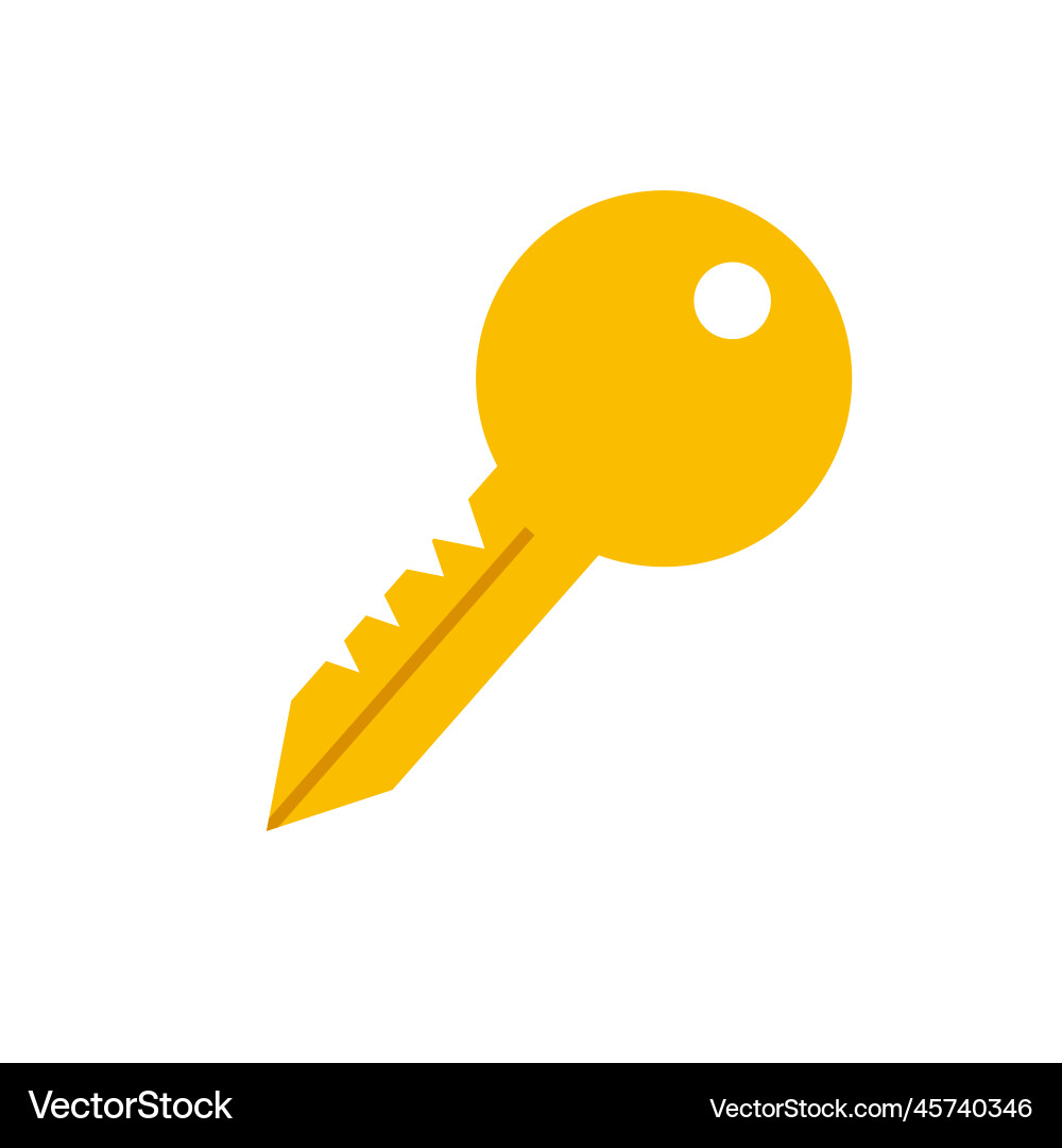 Flat design key icon vector image