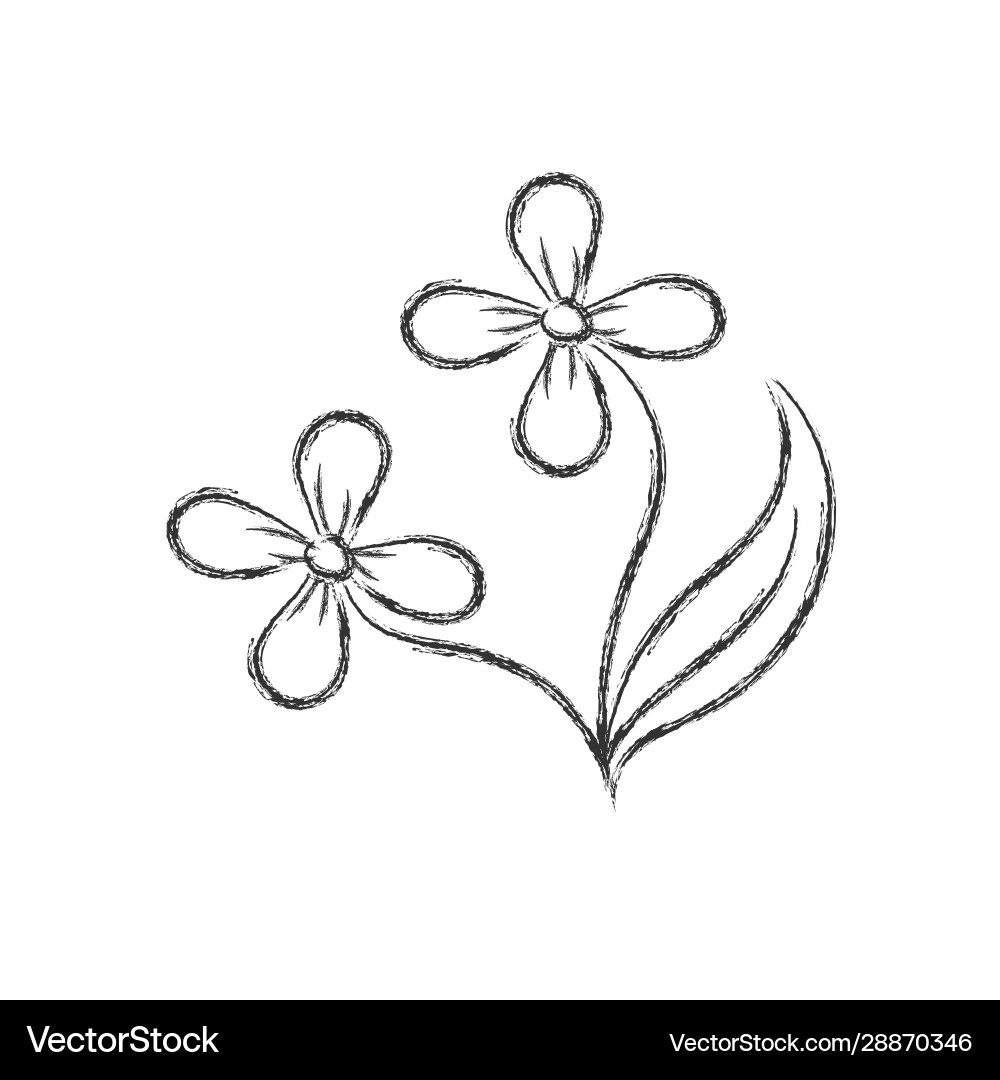 Pencil drawing a flower in style doodle – Royalty-Free Vector | VectorStock, image size:1000x1080