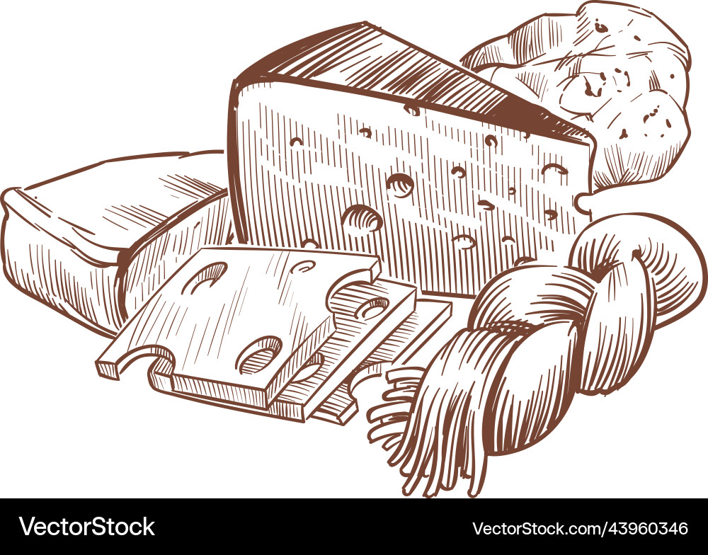 Sketch cheese compositions with cheeses different Vector Image
