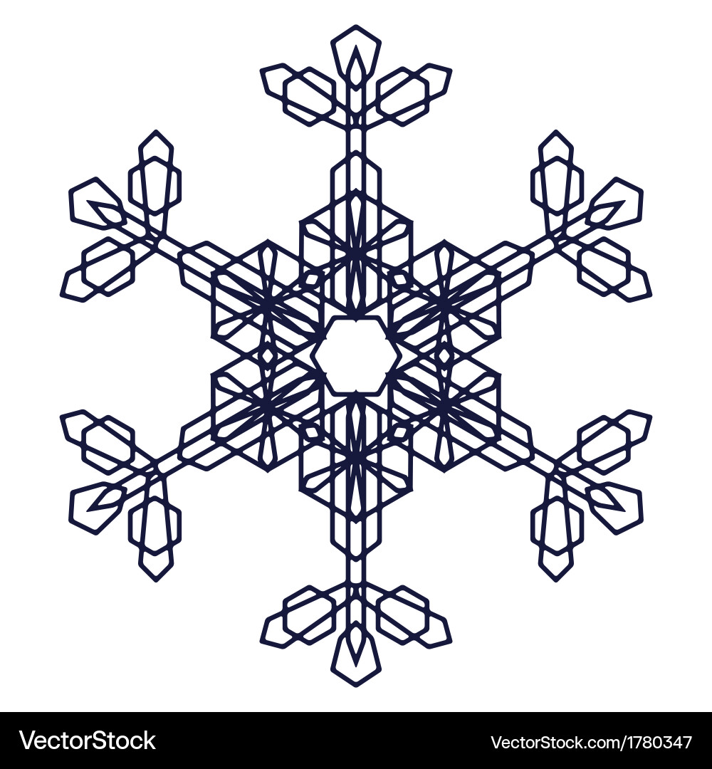 Geometric Snowflake Pattern vector image