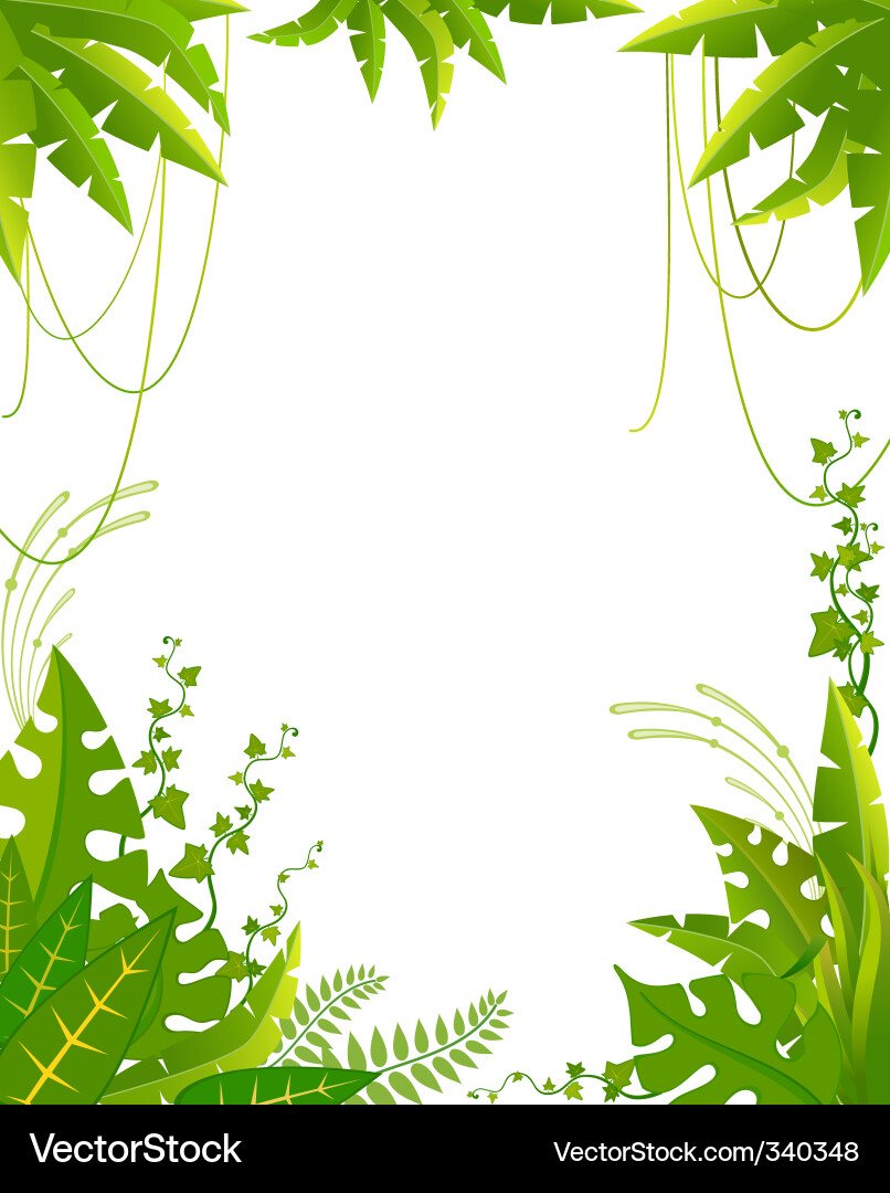 Tropical Palm Leaf Frame Royalty Free Vector Image