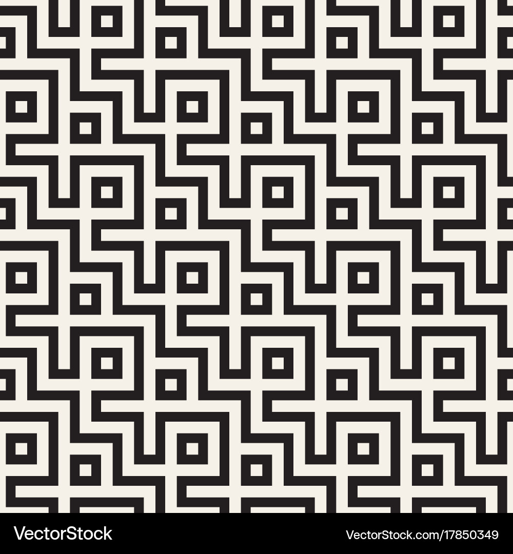 Intricate Maze Pattern vector image