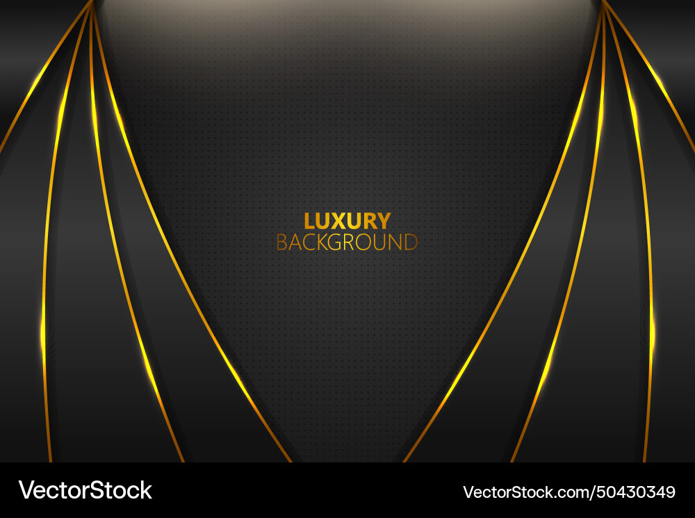 Luxury background diagonal layer shape Luxury background diagonal layer shape vector image