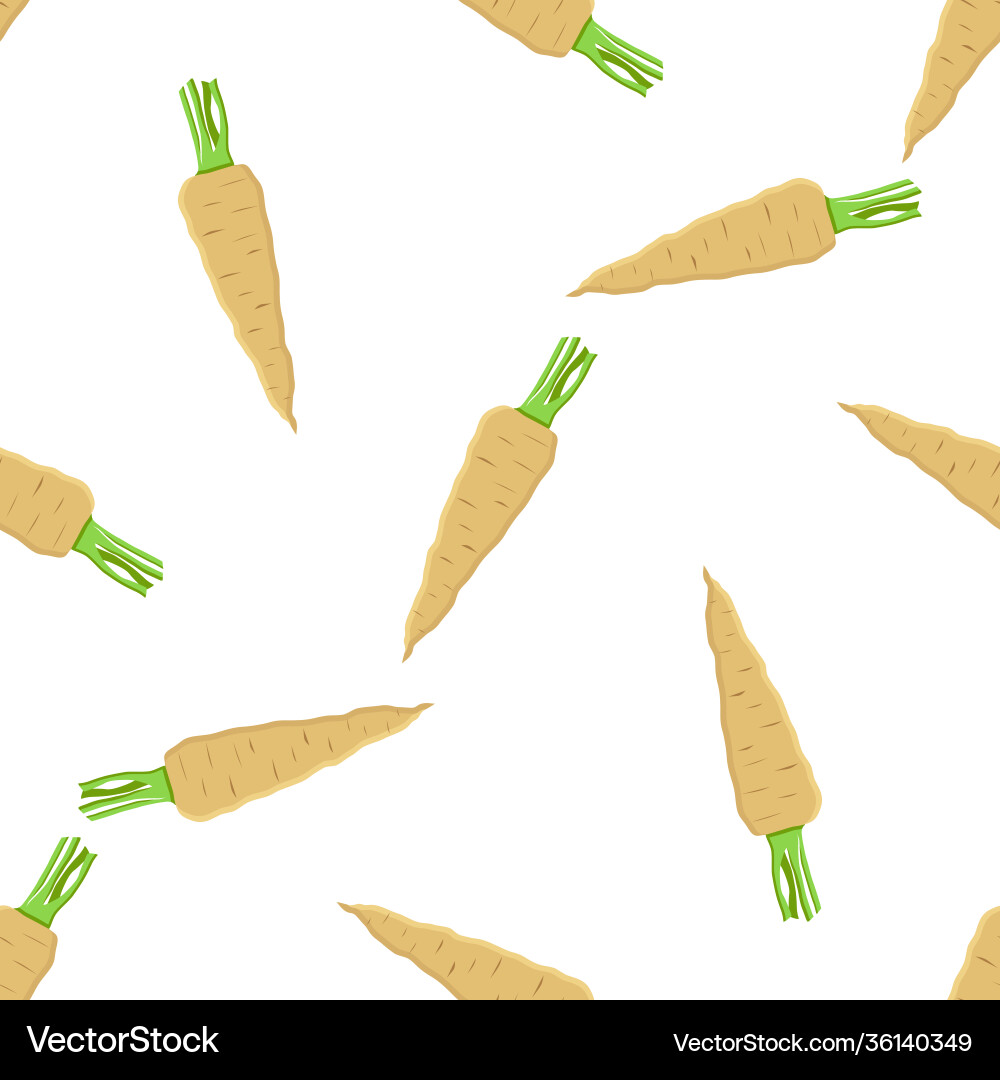 On theme pattern plant parsnip On theme pattern plant parsnip vector image