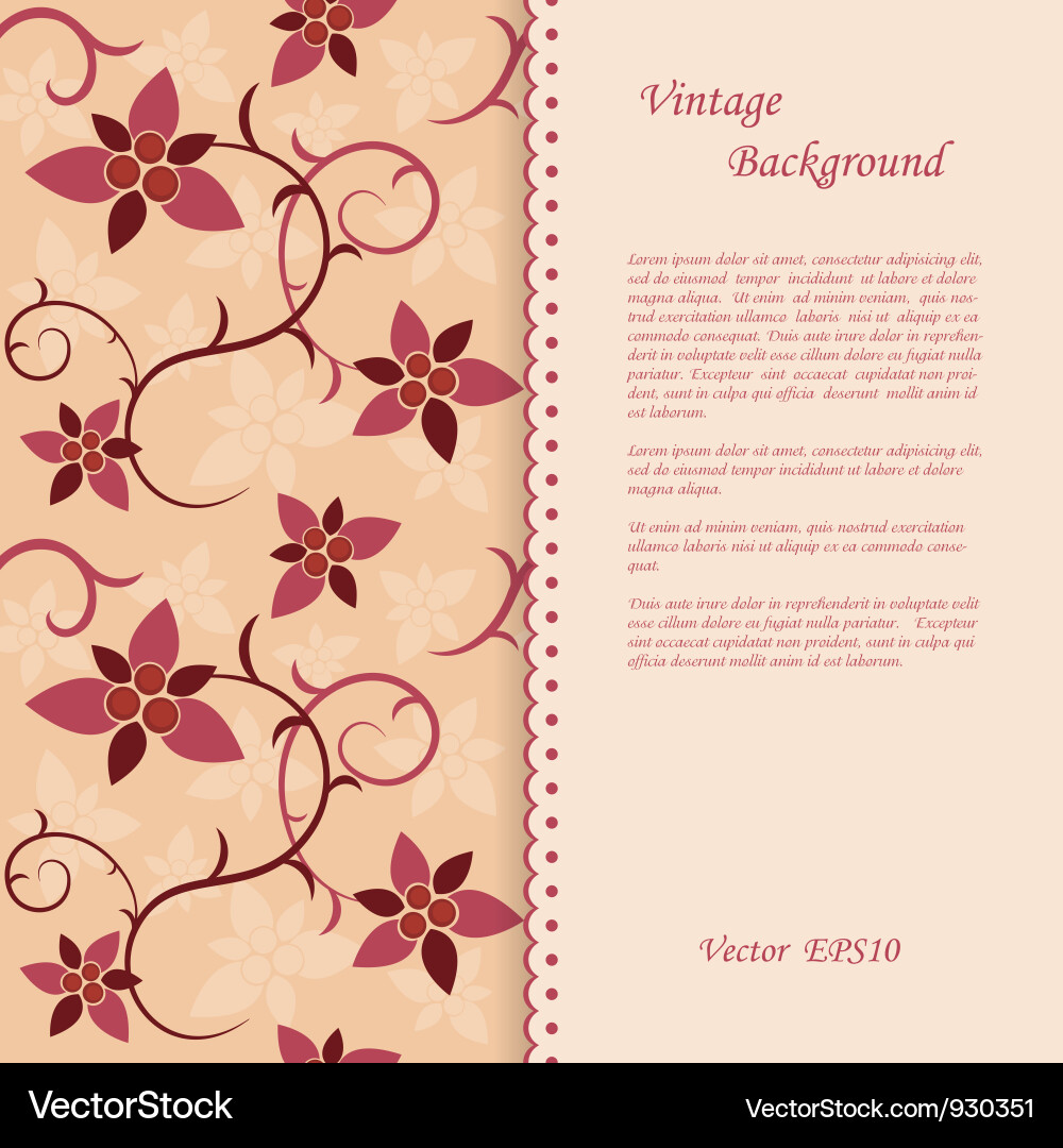 Floral vintage background vector image