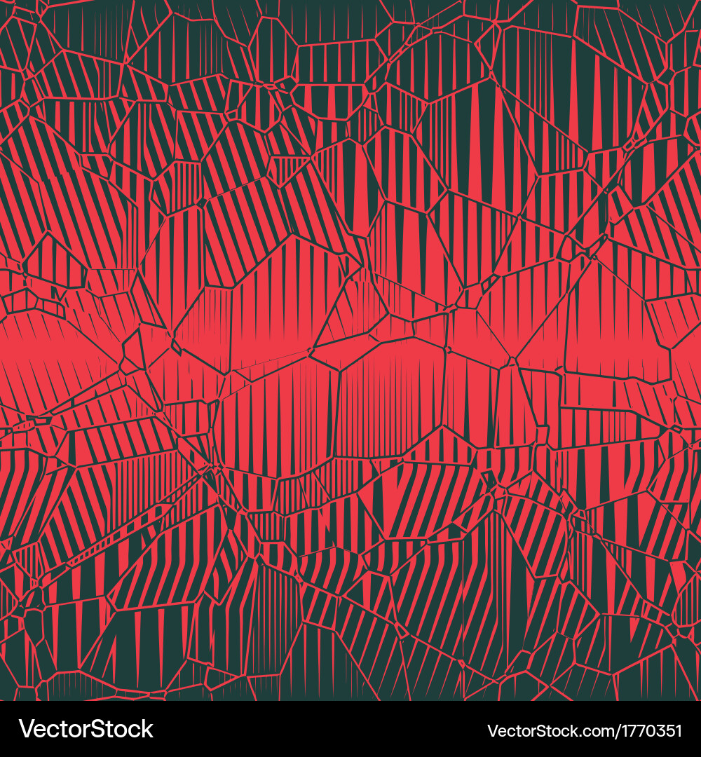 Fractured Web Pattern vector image