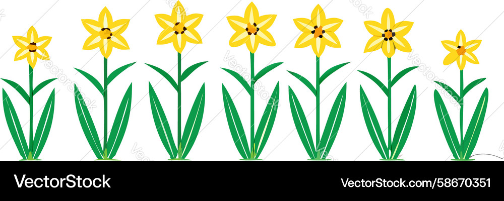 Seamless daffodil pattern border design Vector Image