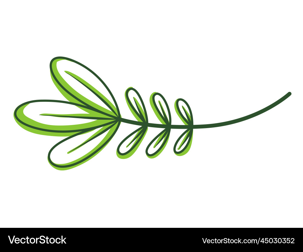 Green text divider page separators design line Green text divider page separators design line vector image
