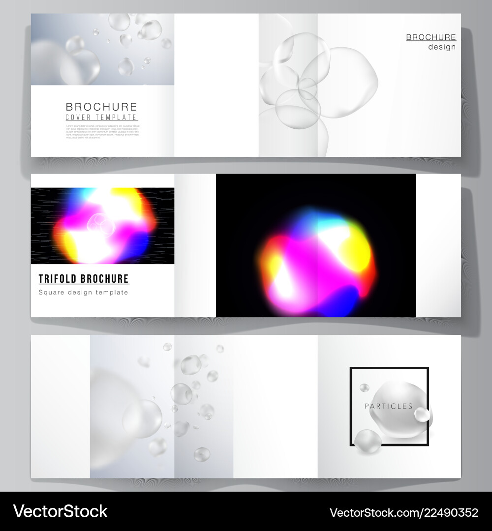 Layout of two square format covers design Layout of two square format covers design vector image
