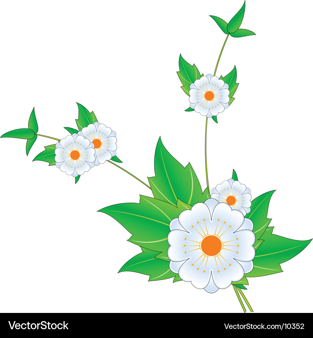 Pattern design Vector Image