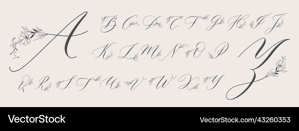 Blumenschmuck Monogramm handschriftliche Schrift Blumenschmuck Monogramm handschriftliche Schrift vektorbild