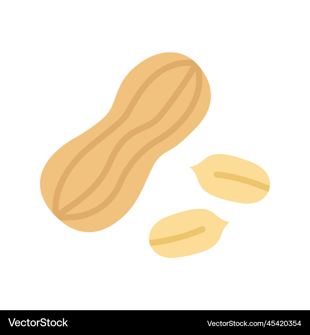 Peanut icon peanuts in the shell kernel vector image