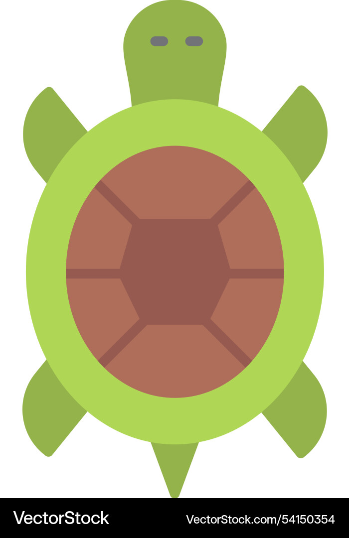 Turtle flat icon design Vector Image