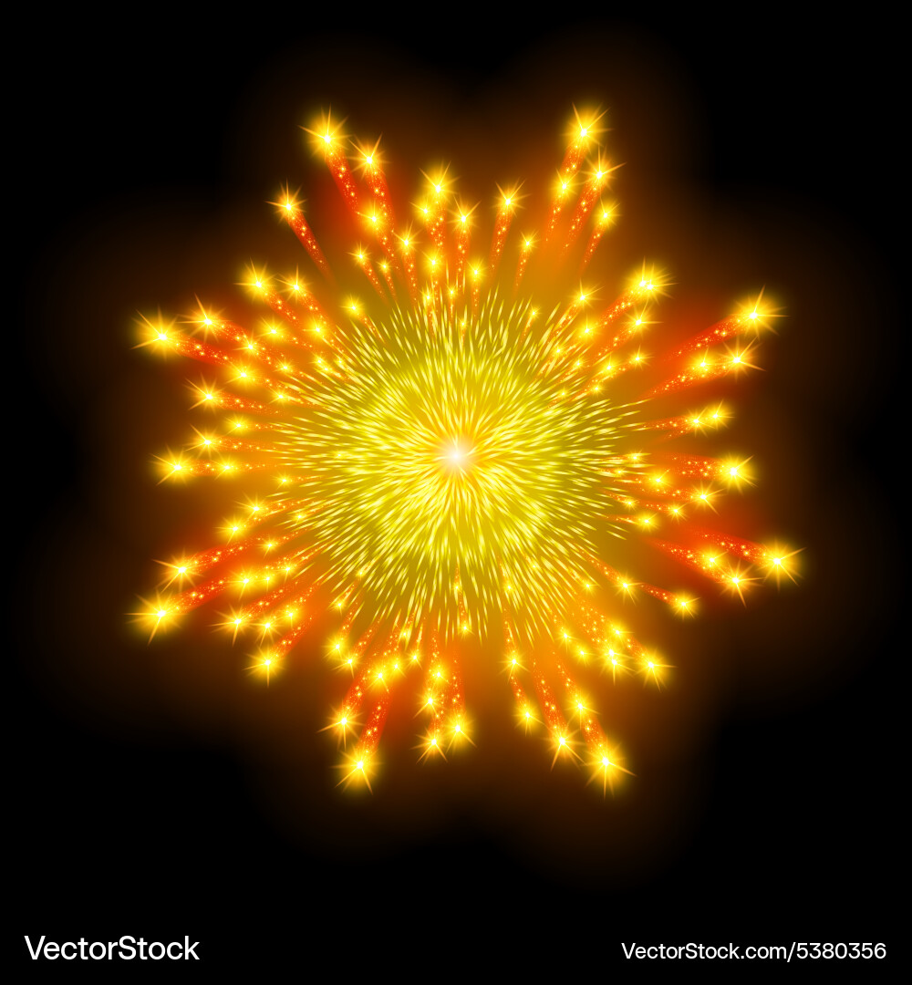 Festive patterned firework bursting in various vector image