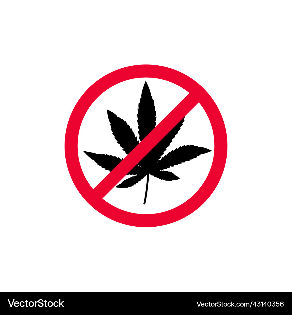 Marijuana leaf medical cannabis isolated Marijuana leaf medical cannabis isolated vector image