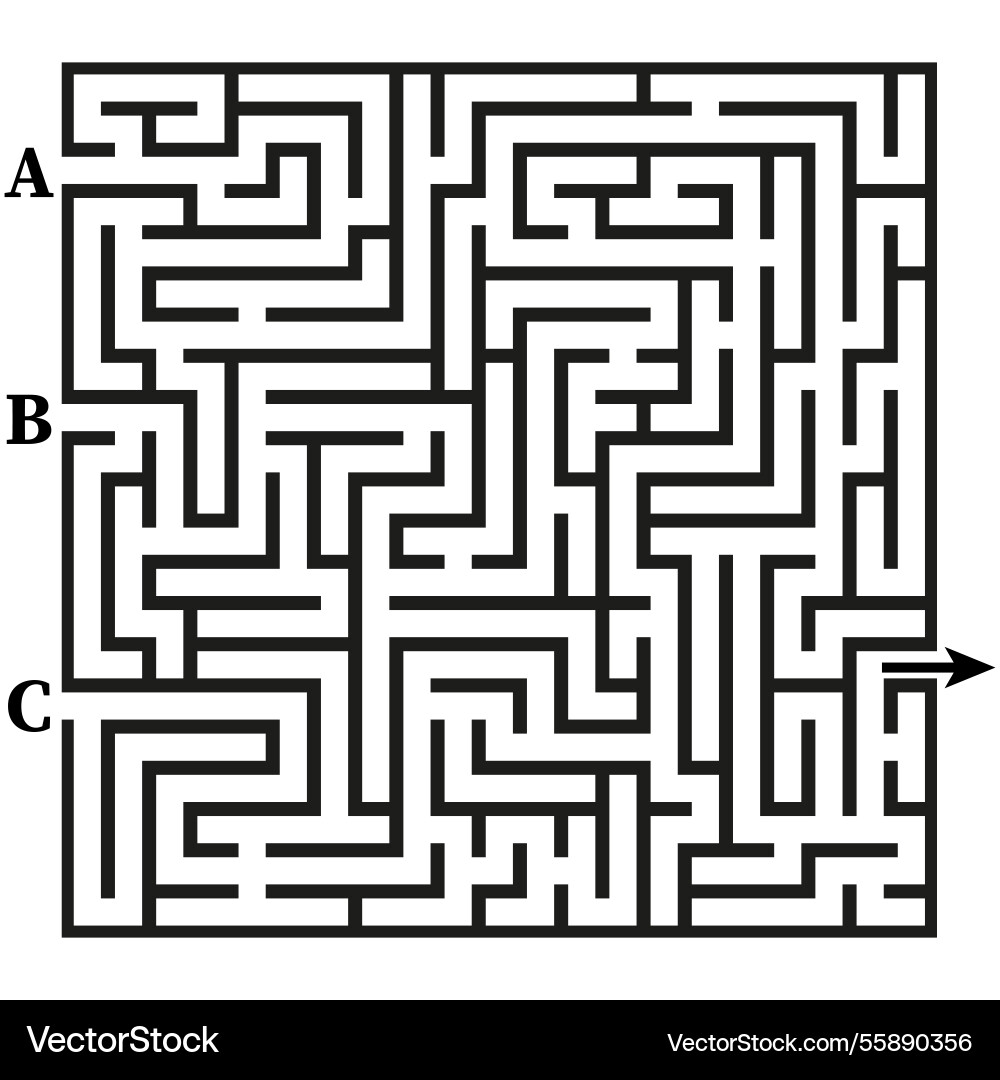 Maze puzzle design complex labyrinth structure Vector Image