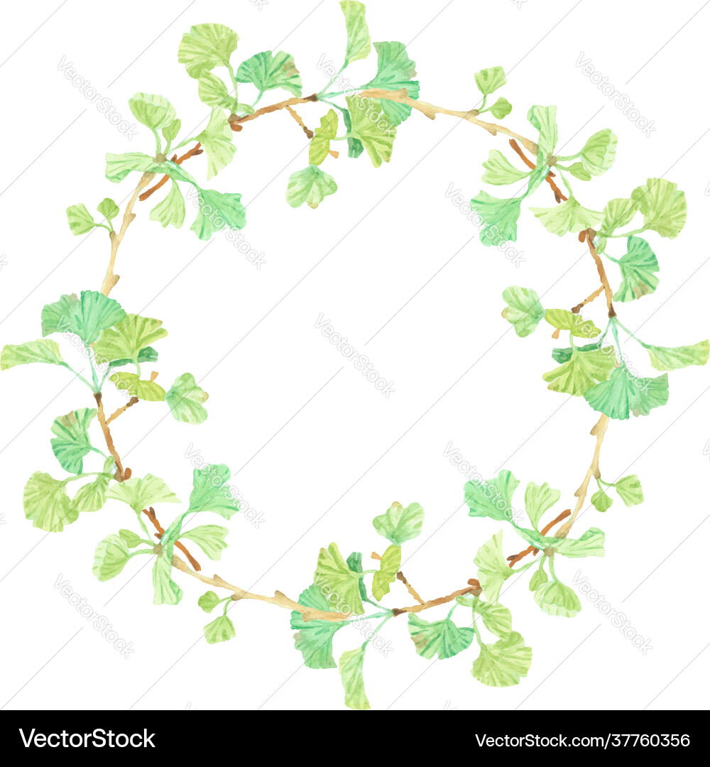 Watercolor hand drawn ginkgo branch circle wreath Watercolor hand drawn ginkgo branch circle wreath vector image