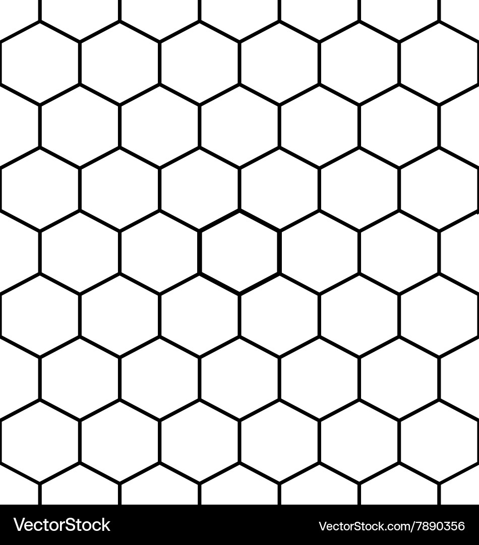 White Hexagon Pattern vector image