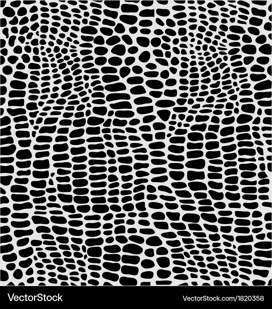 Alligator Skin Pattern Vector Image