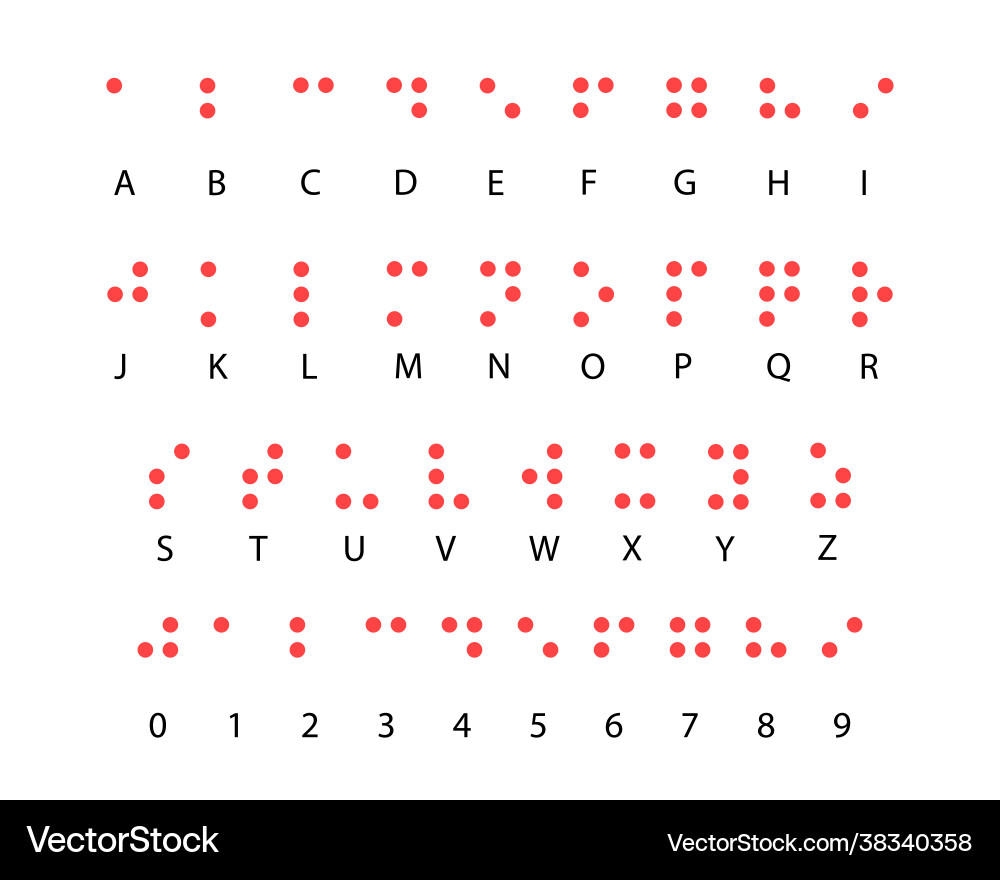 Braille alphabet code system with numbers vector image