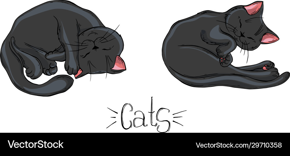 Painted set black cats in different poses Painted set black cats in different poses vector image