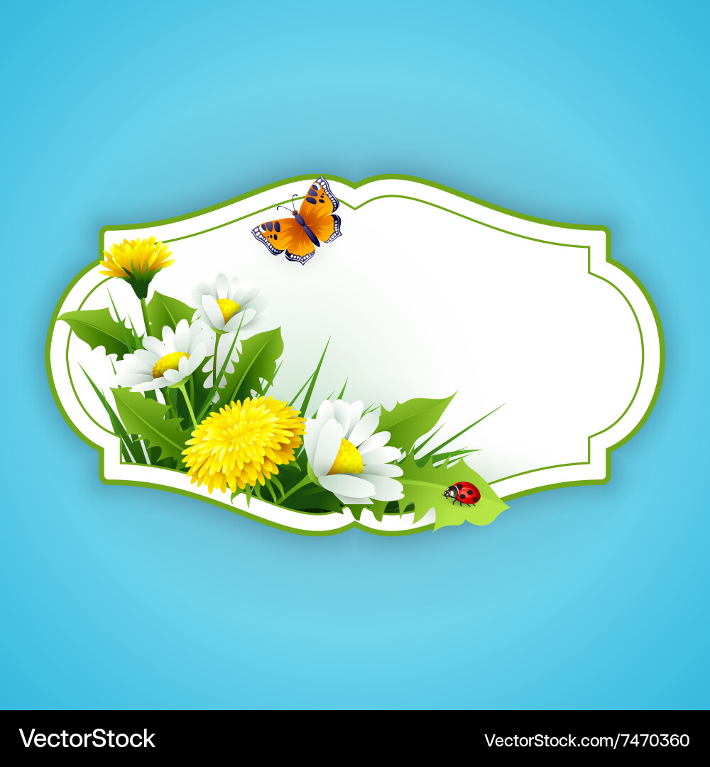 Fresh spring background with grass dandelions Vector Image
