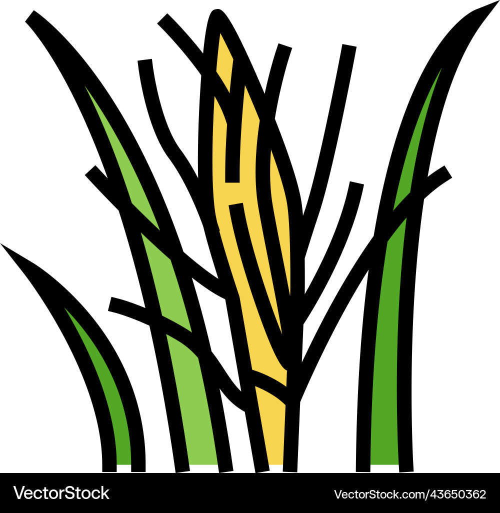 Blume Kokos-Kokos-Farbe-Symbol Blume Kokos-Kokos-Farbe-Symbol vektorbild