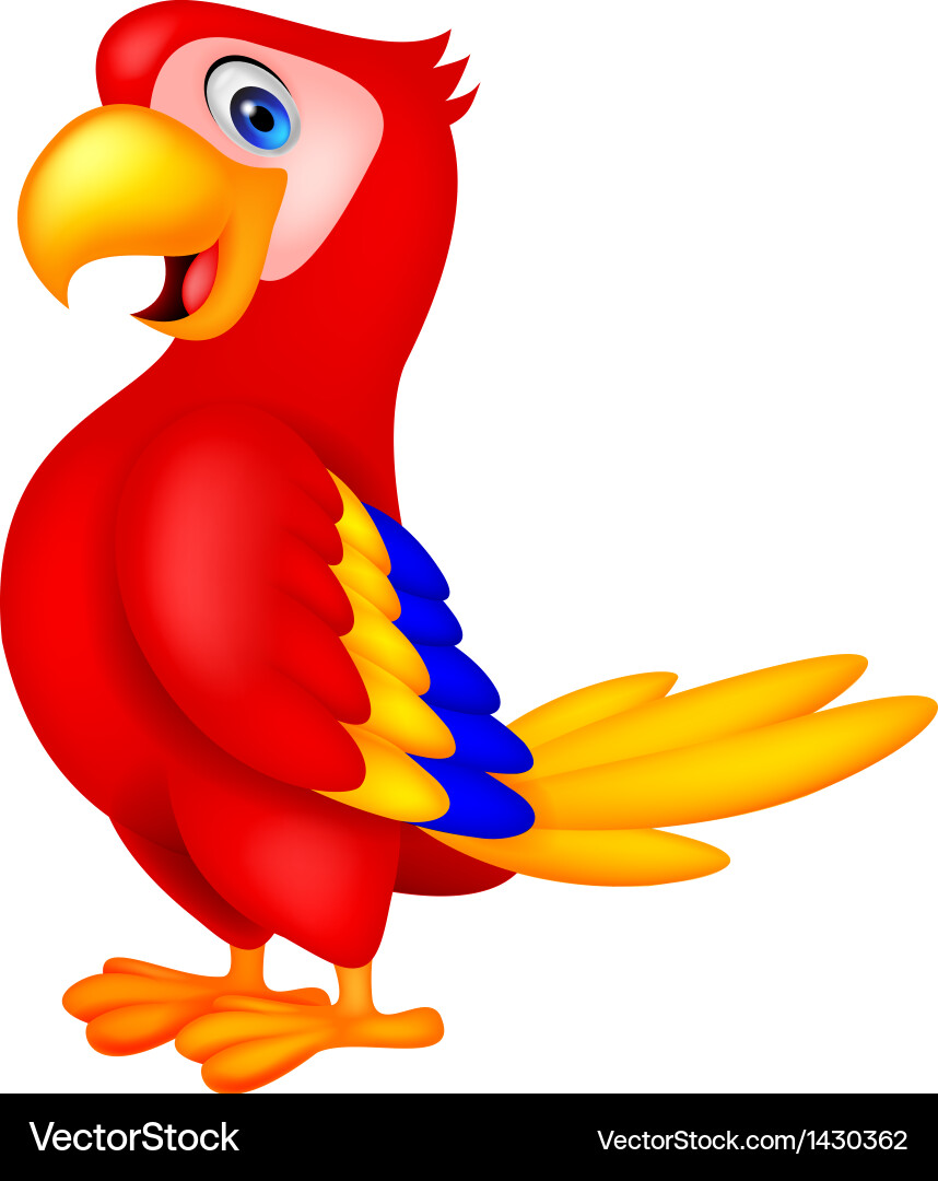 Cute parrot bird cartoon Royalty Free Vector Image