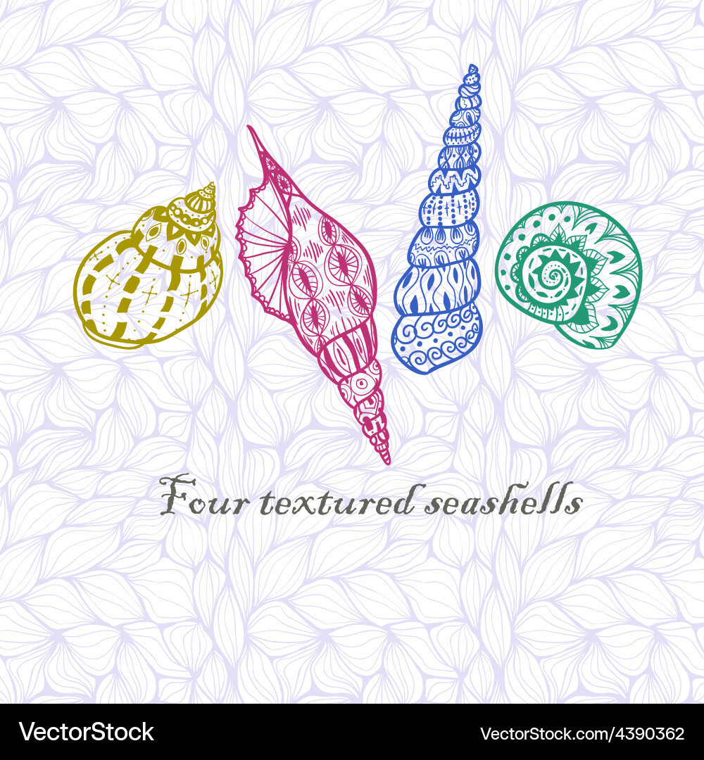 Four doodle seashells Royalty Free Vector Image