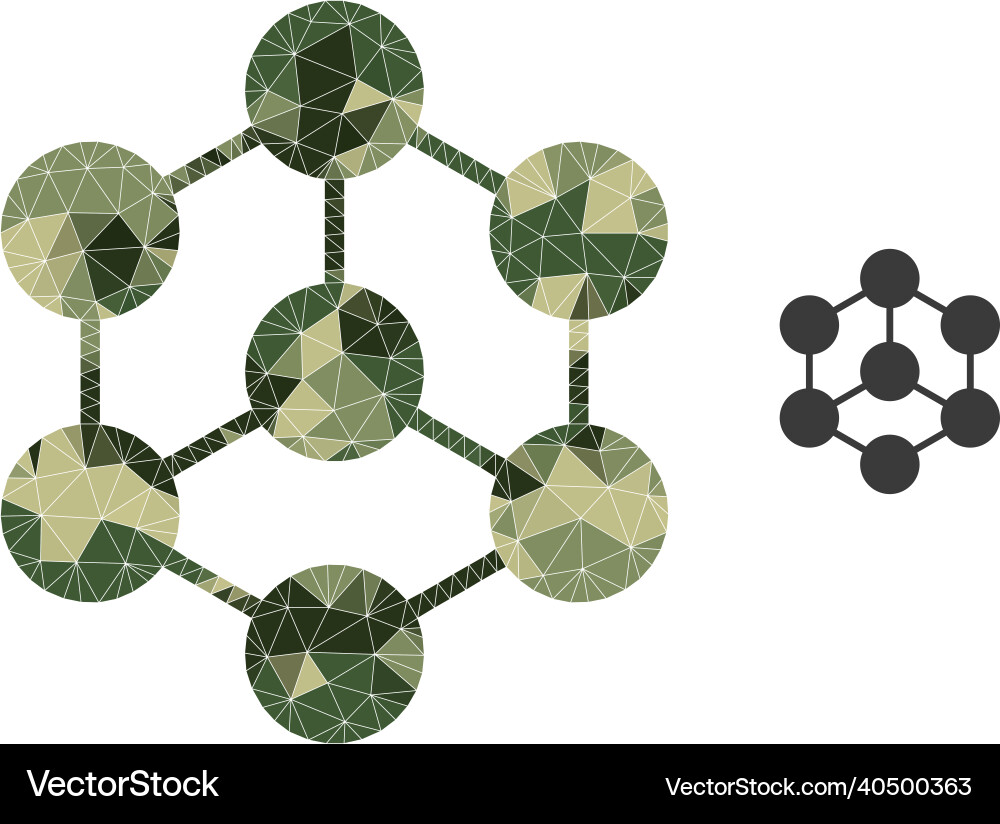 Camouflage Polygon Blockchain Nodes vector image