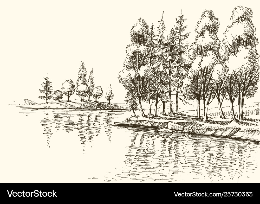 Trees on lake shore or river bank drawing Trees on lake shore or river bank drawing vector image