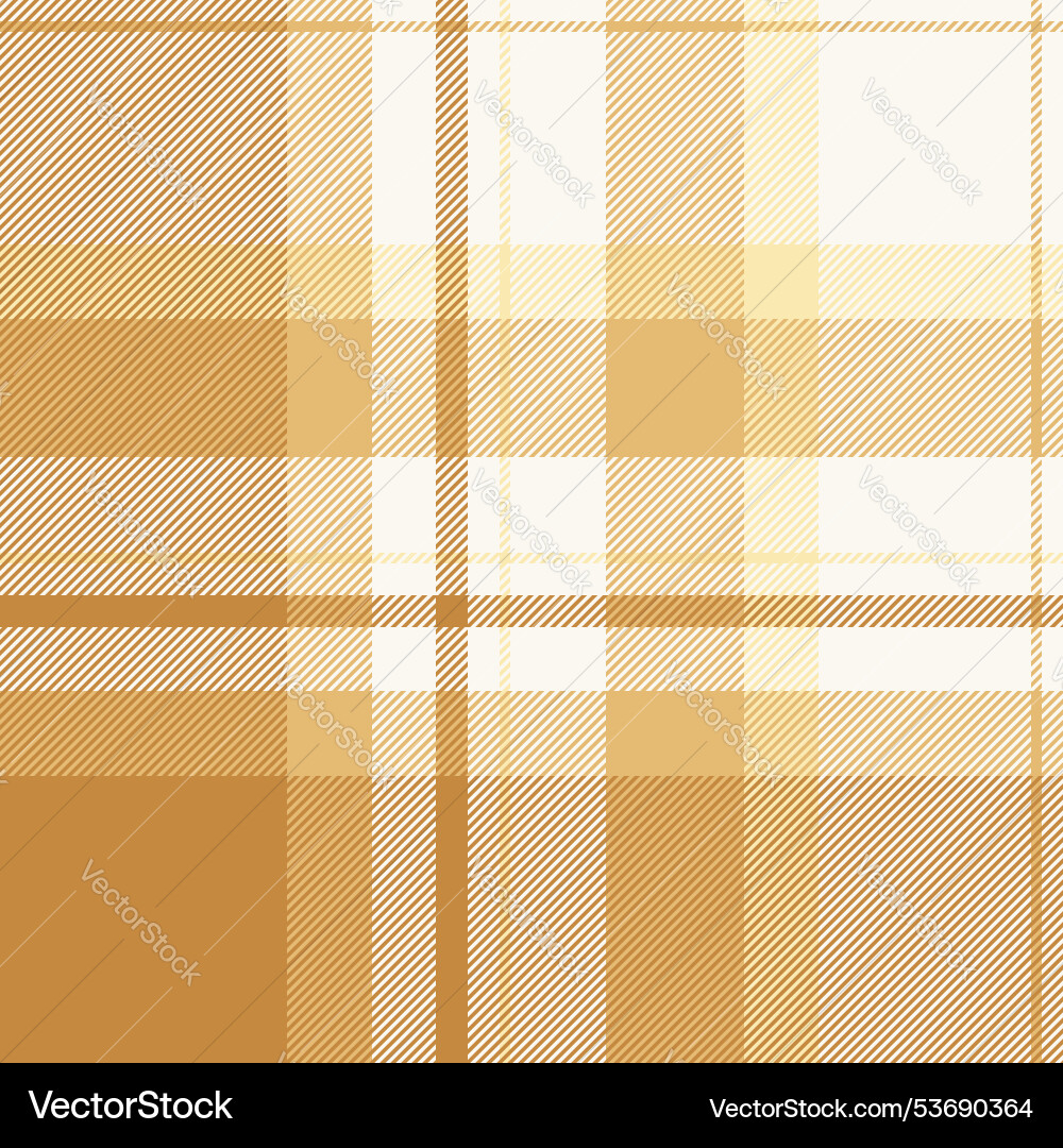 Present texture pattern checking seamless tartan vector image