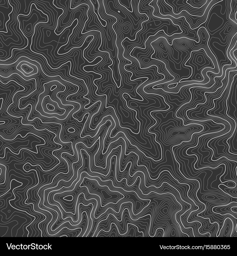 Topographic map background with space for copy Vector Image