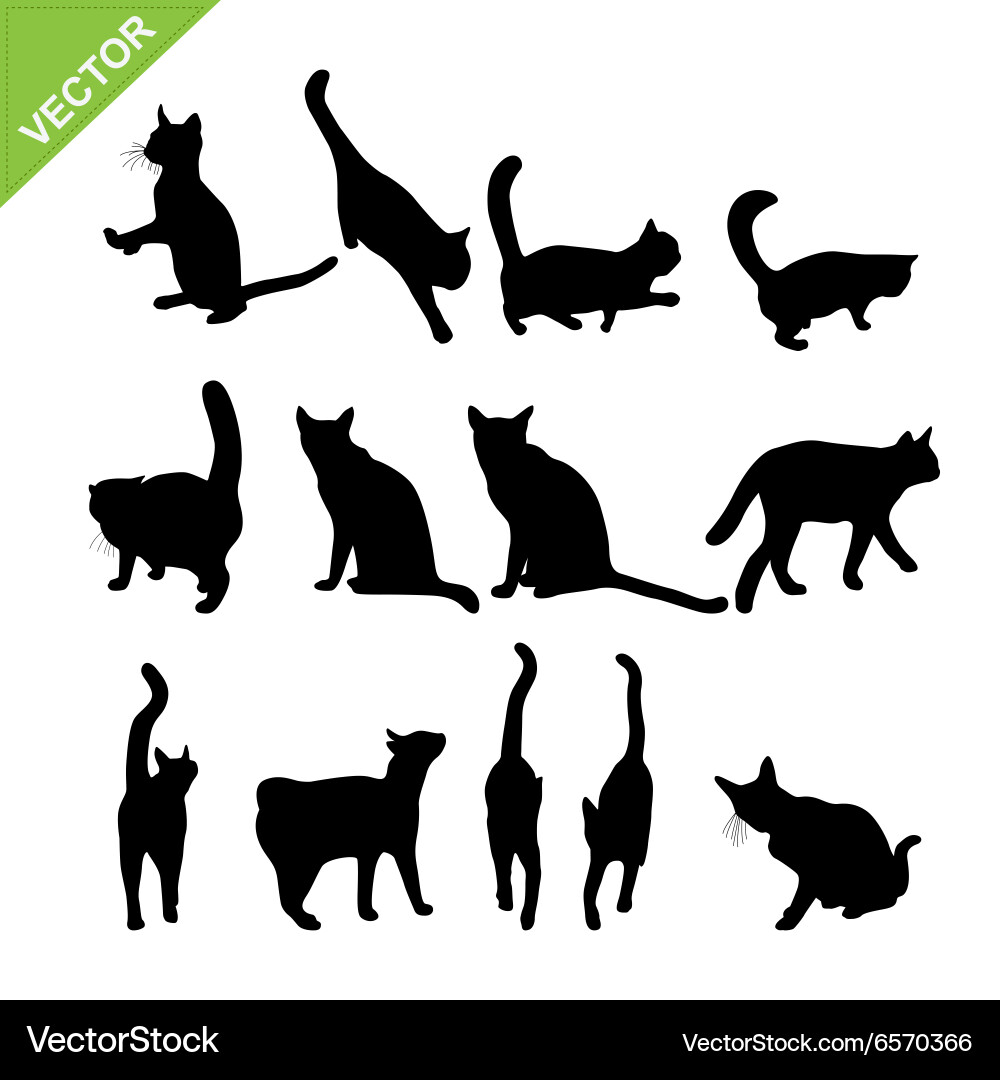 Cat Silhouette Collection vector image