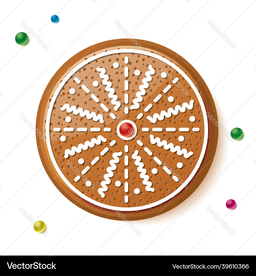 Gingerbread circle cookie isolated on white vector image