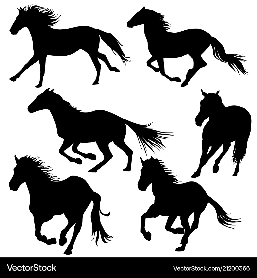 Horses Galloping Silhouette Vector Image