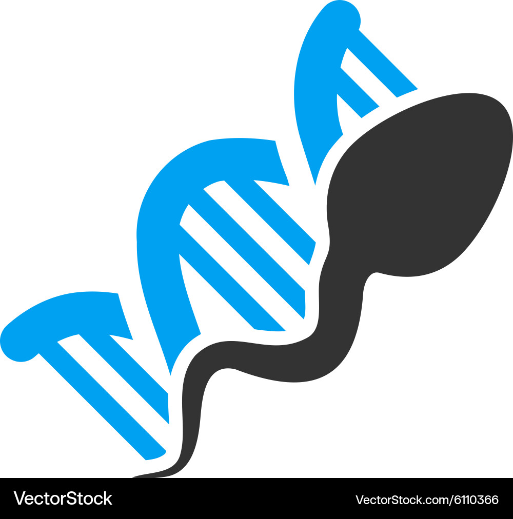 Sperm replication icon vector image