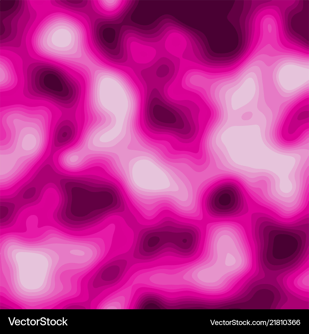 Topographic Map Background Vector Image