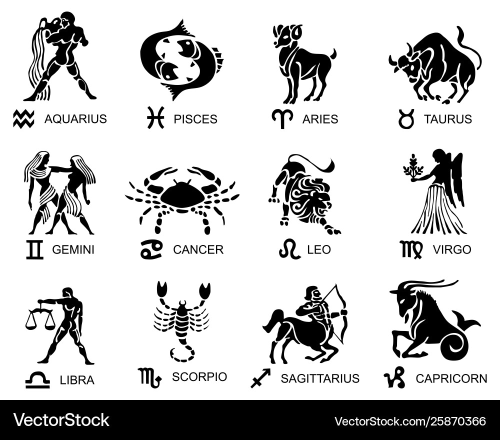 Zodiac Sign Silhouettes vector image