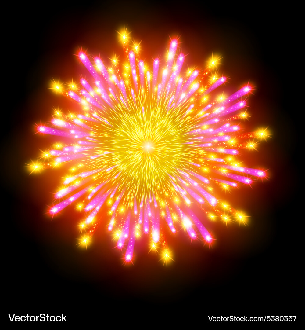 Festive patterned firework bursting in various vector image