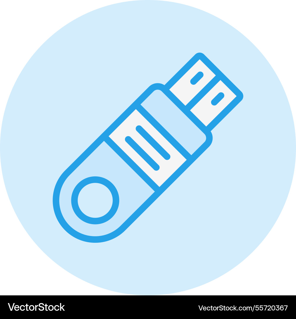 Flash disk icon design Vector Image