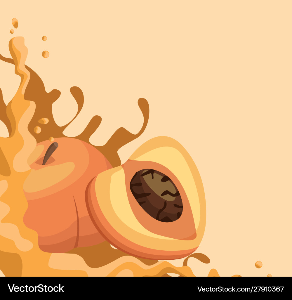 Peaches and splash juice Vector Image