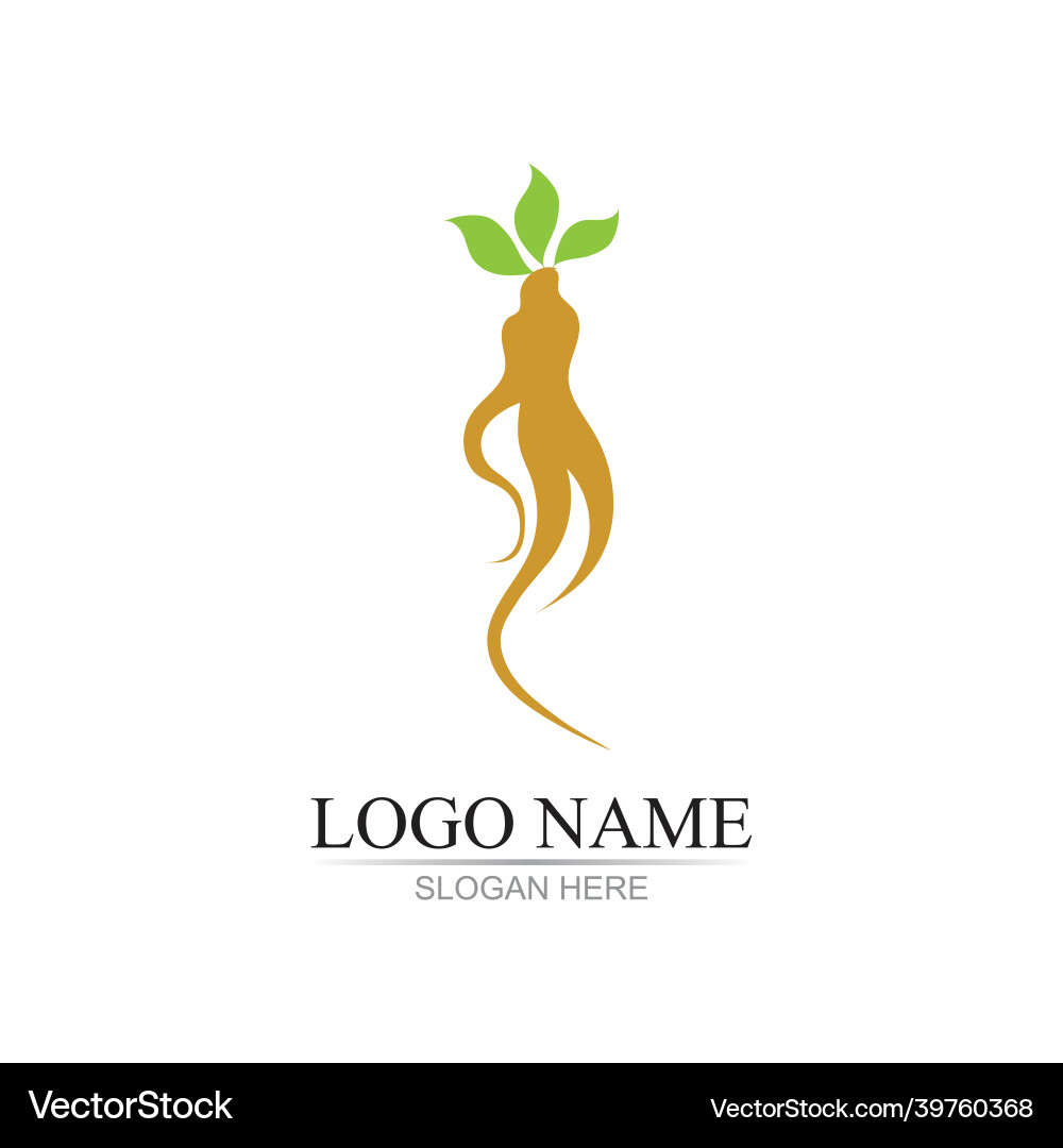 Ginseng Icon Design Template Ginseng Icon Design Template vektorbild